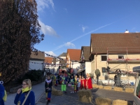 Willstätt Umzug 